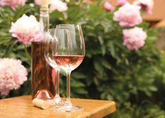 Postcard "Wine" (26-20)