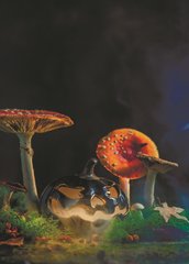 Mushroom (22-3)