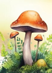 Mushrooms (23-15)