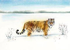 Tiger (a-20)