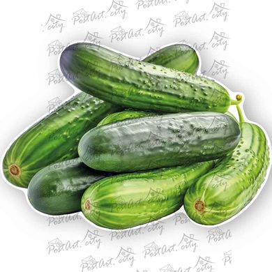 Shaped postcard "Cucumber"