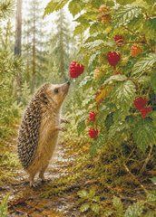 Postcard "Hedgehogs and Berries" (26-1)