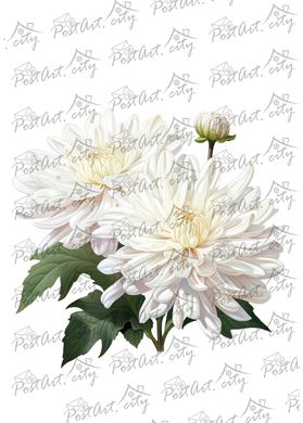 White chrysanthemum (designer paper) 2