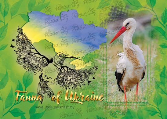 Fauna of Ukraine. White stork