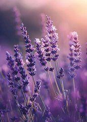 "Lavender Mood" Greeting Card (26-4)