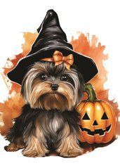 Halloween (23-59)