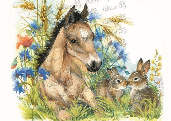 Foal with bunnies
