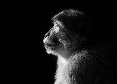 Листівка "Black and white" (26-22)