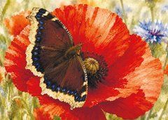 Postcard "Butterfly on a flower" (26-1)