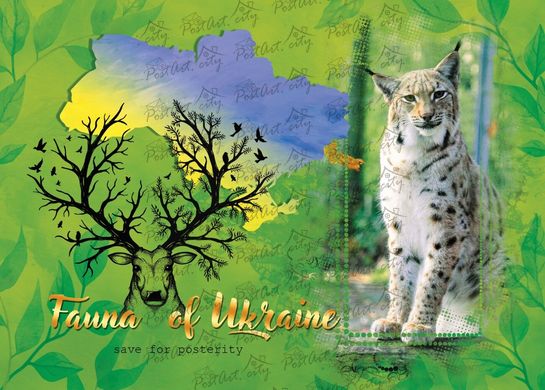 Fauna of Ukraine. Lynx