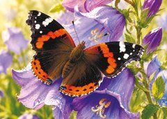 Postcard "Butterfly on a flower" (26-2)
