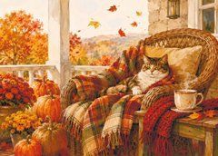"A Cat's Life" Postcard (26-70)