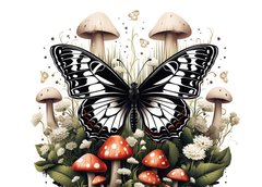 Mushrooms and butterflies (23-4)