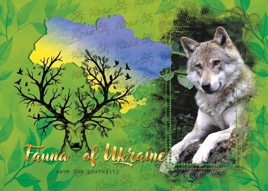 Fauna of Ukraine. Wolf