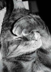 Листівка "Black and white" (26-24)