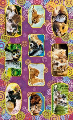 Stickers "Cats and dogs"
