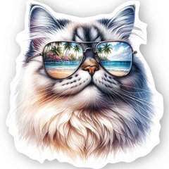 Фігурна листівка "Кіт в окулярах" (6)
