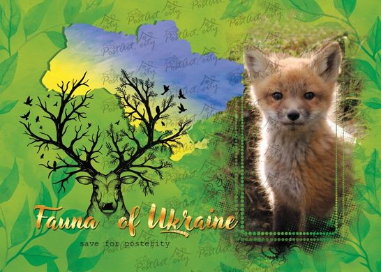 Fauna of Ukraine. Fox