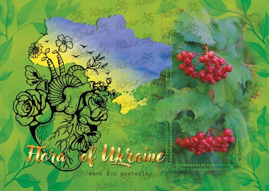 Flora of Ukraine. Guelder rose