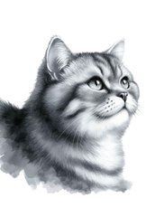 Листівка "Котик" (26-5)
