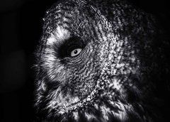 Листівка "Black and white" (26-27)