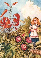 Alice in Wonderland (23-33)