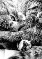 Листівка "Black and white" (26-28)