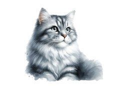 Листівка "Котик" (26-7)