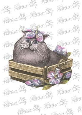 A cat in a lilac