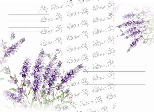 Еnvelope Lavender