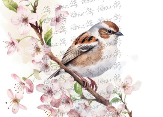 Sparrow (23-2)