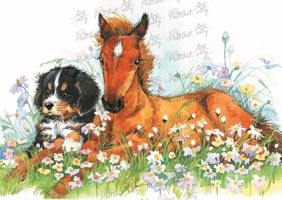 Foal with a dog