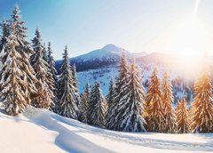 Postcard "Winter. The Carpathians" (26-1)