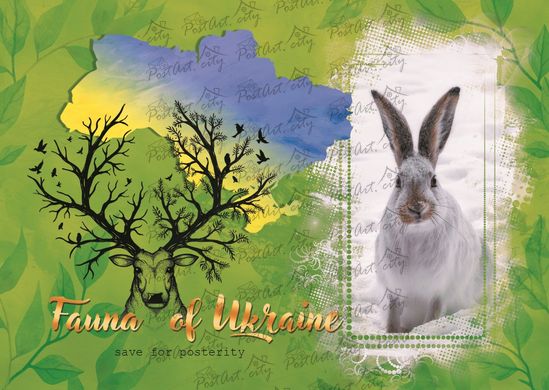 Fauna of Ukraine. White hare