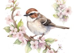 Sparrow (23-5)